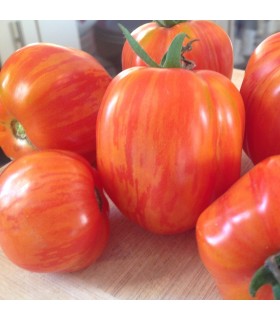 Tomate Red Cavern (Semillas Ecológicas)