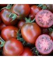Tomate Paul Robeson - graines non traitées