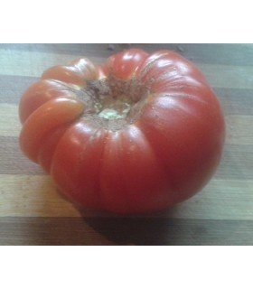 Tomate RAF