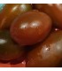 Tomate ciruela negra