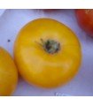 Yellow Thun Tomato - Untreated Seeds