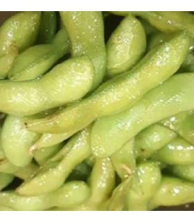 Edamame summer shell