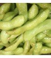 Edamame green shell - untreated seeds