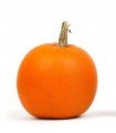 Pumpkin Halloween Jack O' Lantern - untreated seeds