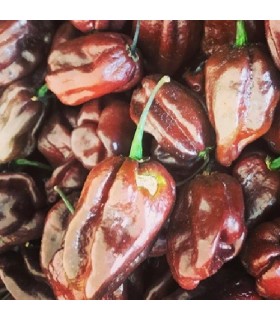 Habanero chocolate