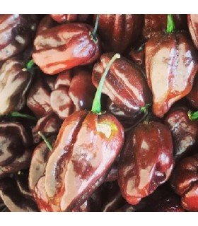 Habanero chocolate