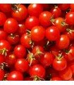 Tomate Miel du Mexique - graines non traitées