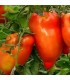 Tomate cuerno de los Andes