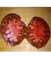 Tomate noire Tula - graines non traitées