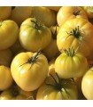 Tomate beaute blanche - semillas no tratadas