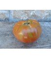Aussie tomato - untreated seeds