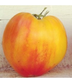 Tomate corazón de buey rayado "oxheart strieped"