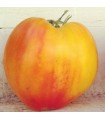 Oxheart strieped tomato - untreated seeds