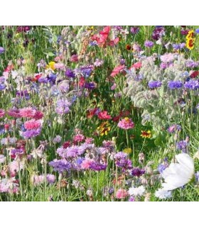 Mezcla de semillas para las abejas