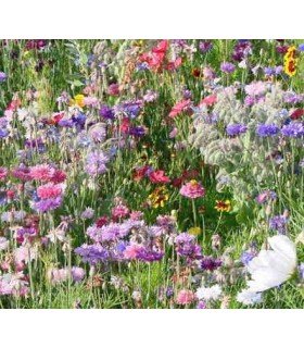 Mezcla de semillas para las abejas