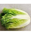 Chinese michihili cabbage - untreated seeds