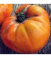 Tomato Ananas - untreated seeds