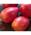 Tomate Beefsteak Hongroise - graines non traitées