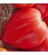 Tomate Petit Coeur de Boeuf