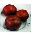 Crimean black tomato - untreated seeds