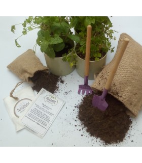 kit cultivo de aromáticas en maceta