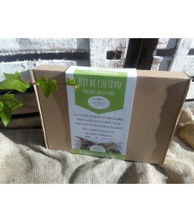 Kit de cultivo mi primer huerto Naturnoa