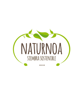 choy sum fuubi - semillas no tratadas