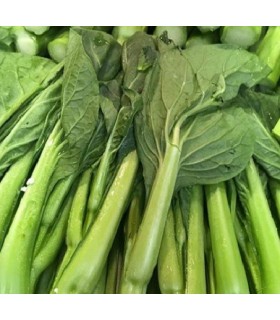 choy sum fuubi - semillas no tratadas