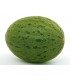 Melón piñonet piel de sapo - semillas no tratadas