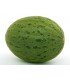 Melón piñonet piel de sapo - semillas no tratadas