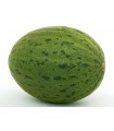 Piñonet melon piel de sapo - untreated seeds