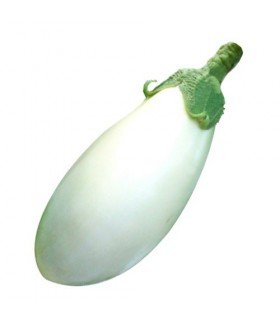 Berenjena huevos blancos - semillas sin tratamiento