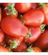 Tomate red pear - semillas no tratadas