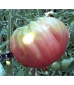 Tomato oxheart Belmonte - untreated seeds