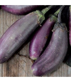Berenjena Slim Jim - semillas no tratadas