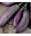 Slim Jim Eggplant - untreated seeds