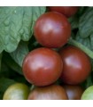 Tomate Brown Berry