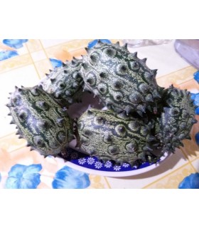 Kiwano (semillas no tratadas)