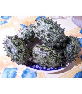 Kiwano (semillas no tratadas)