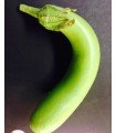 Louisiana Long Green Eggplant - Untreated Seeds