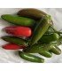 Pimiento Serrano - semillas no tratadas