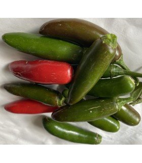 Pimiento Serrano - semillas no tratadas
