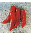 red bull horn pepper - untrated seeds