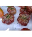 Purple pumpkin tomato - untreated seeds