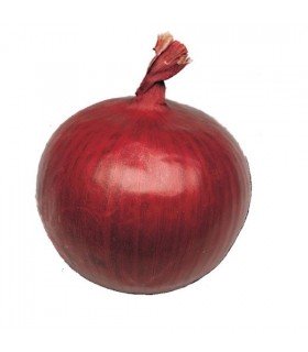 Round tropean onion - untreated seeds