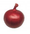 Round tropean onion - untreated seeds