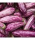 Tsakoniki eggplant - untreated seeds