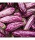 Tsakoniki eggplant - untreated seeds