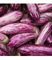 Tsakoniki eggplant - untreated seeds