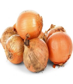 Late Valencian onion - untreated seeds